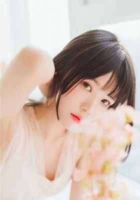 一猫一狗一人一世界什么意思_DVD在线视频观看